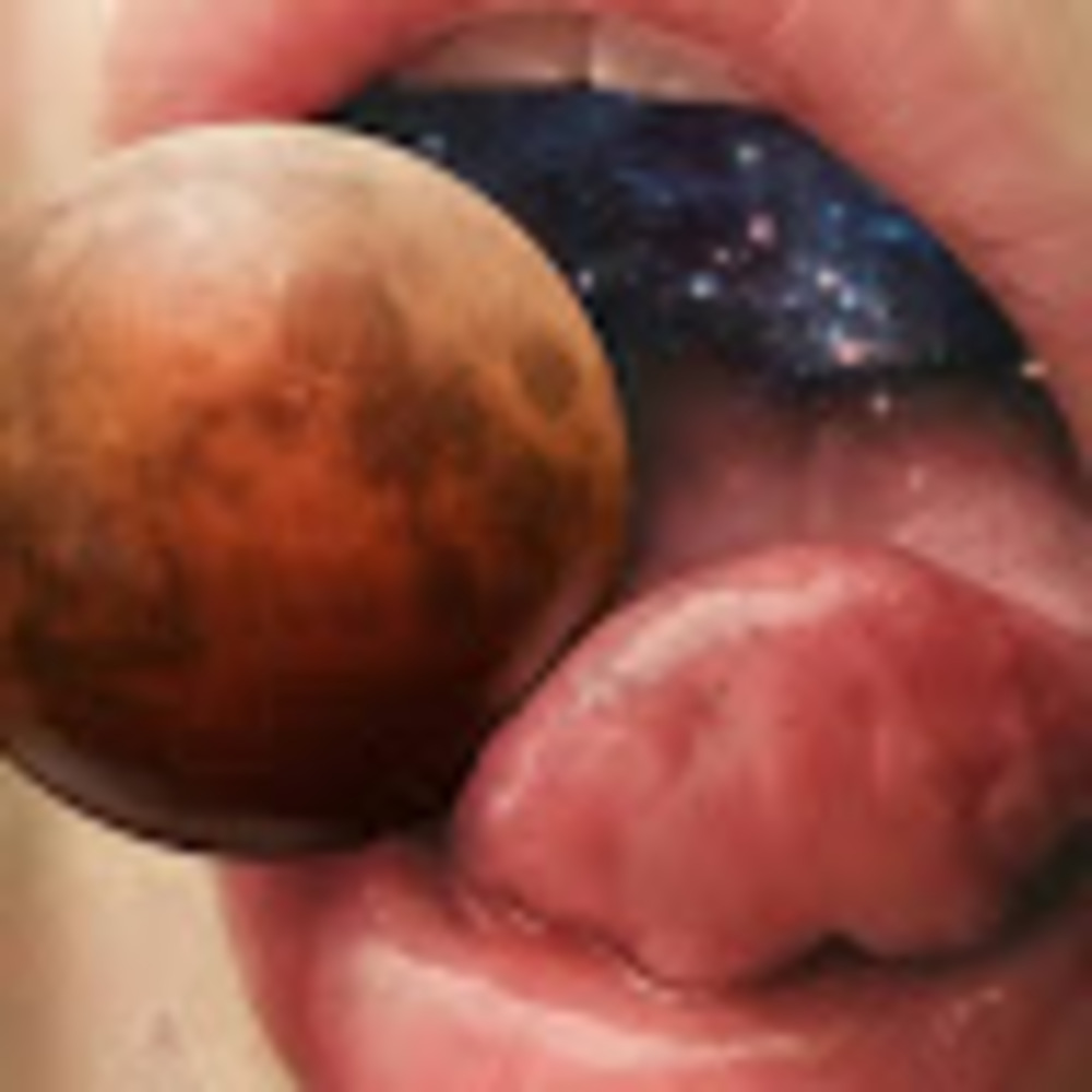 Meet your Posher, Ace